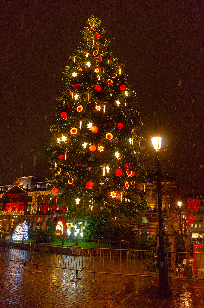 Strasbourg'da Christmas'ın en önemli simgesi: Place Kléber'deki dev çam ağacı